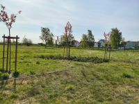 XXIII Ogólnopolski Tydzień Bibliotek – zdjęcie 2